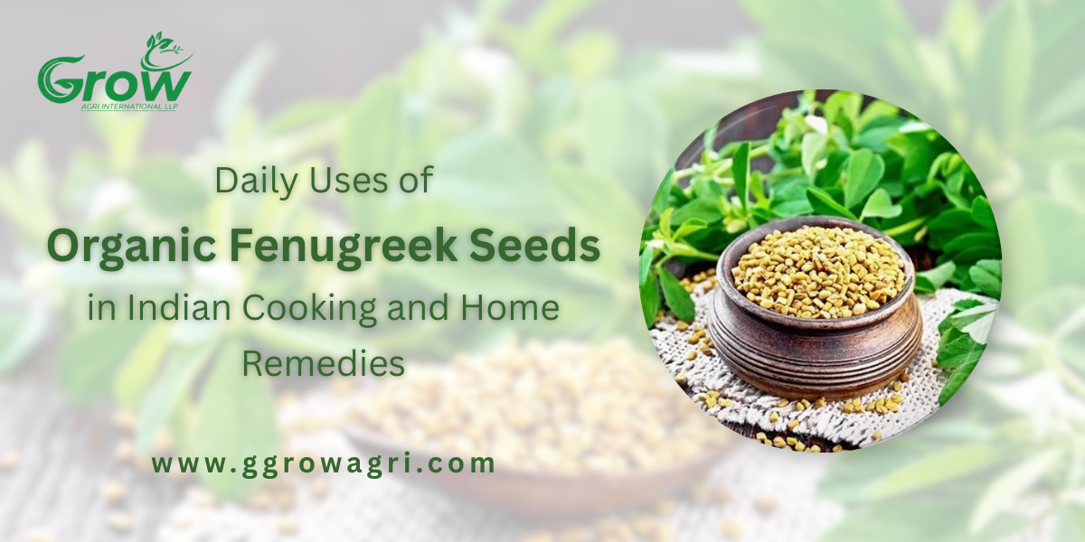 daily-uses-of-organic-fenugreek-seeds-in-indian-cooking-and-home-remedies.png